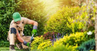 Garden Maintenance