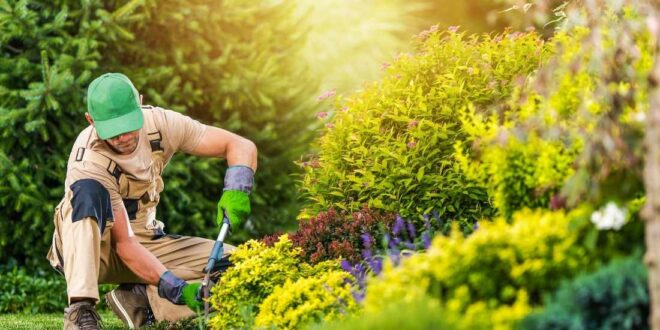 Garden Maintenance
