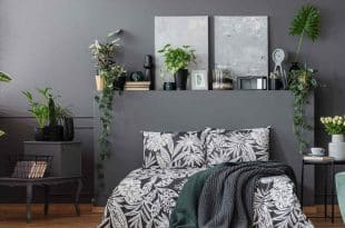 you can see the pictures of bedroom plants suggestions